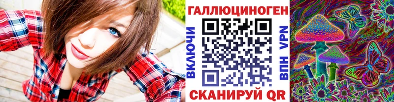 купить закладку  Судак  blacksprut ТОР  Псилоцибиновые грибы ЛСД 